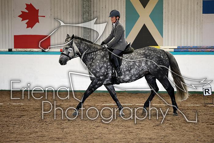 Novice5039