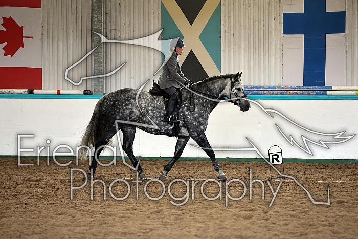 Novice5050