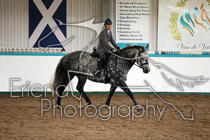 Novice5054