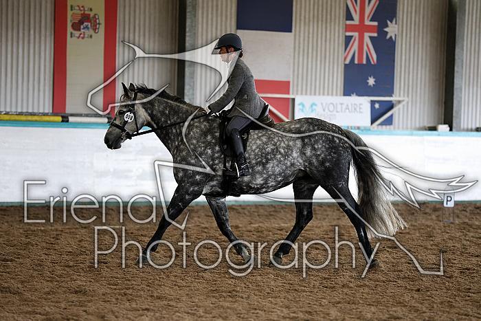 Novice5060
