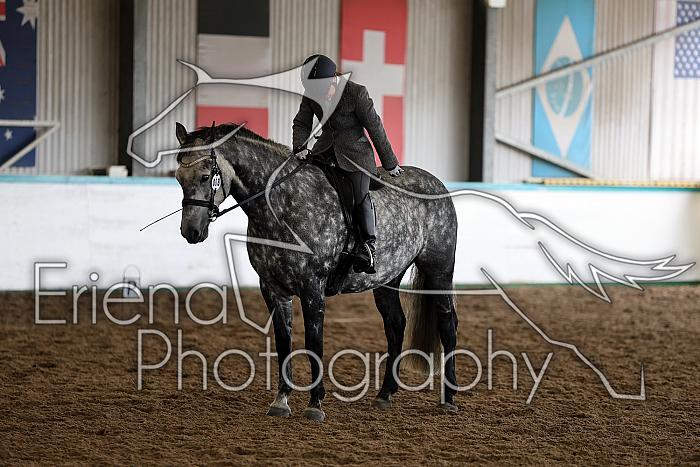 Novice5064