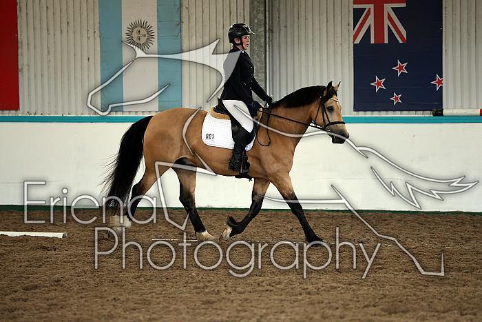 Novice6007