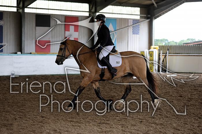 Novice6010