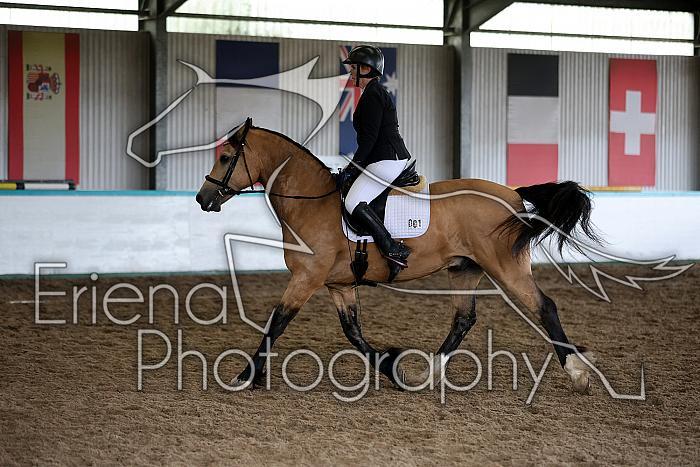 Novice6011