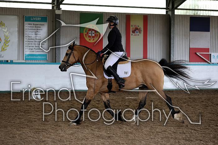Novice6012