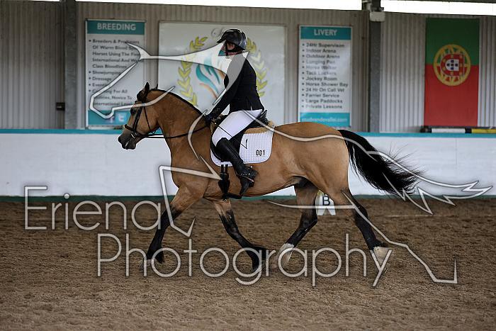 Novice6013