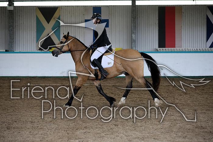Novice6016
