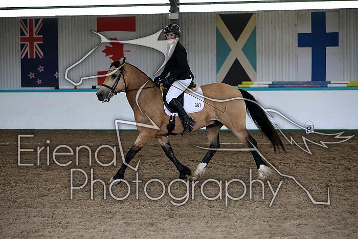 Novice6017