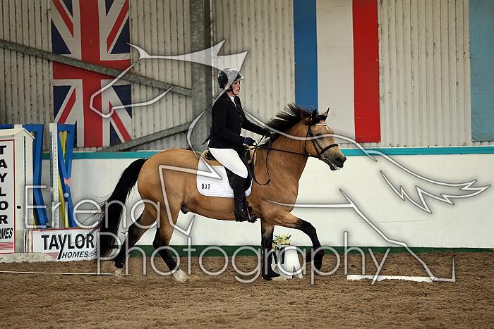 Novice6019