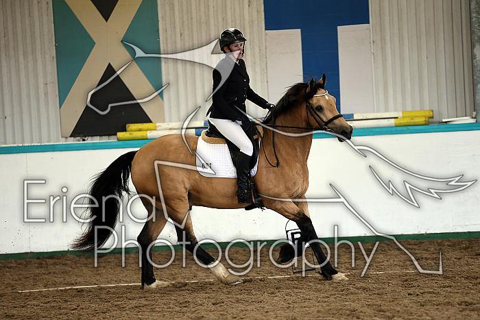 Novice6020