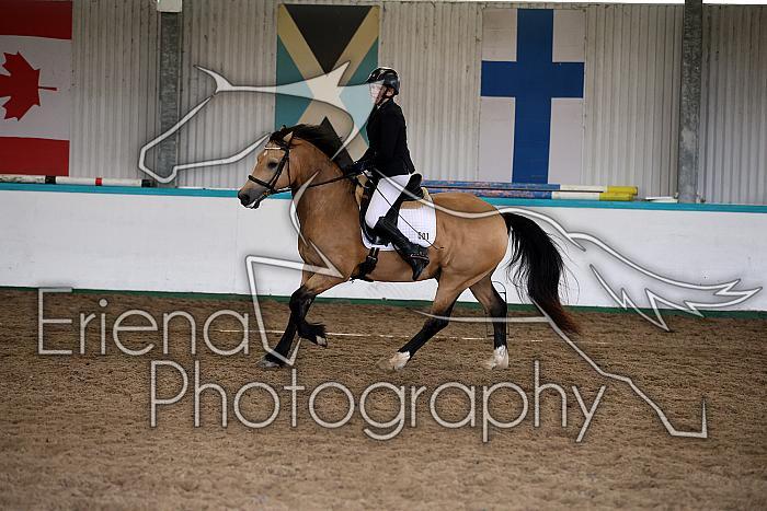 Novice6027