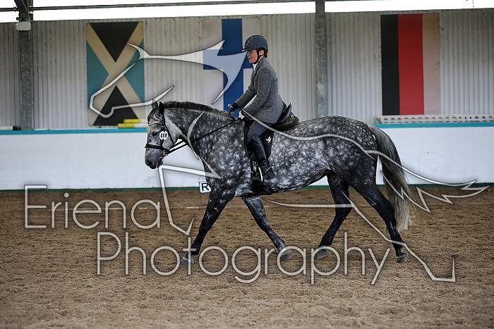 Novice6049