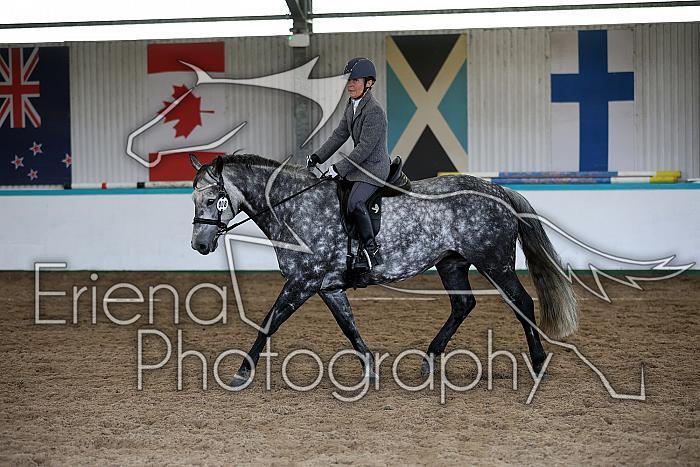 Novice6050