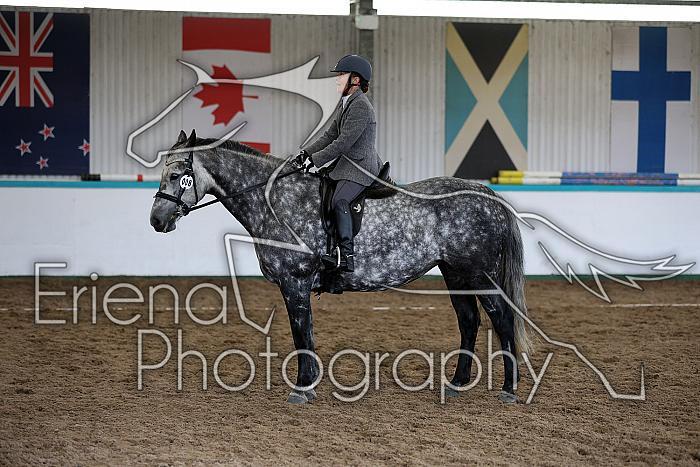 Novice6069