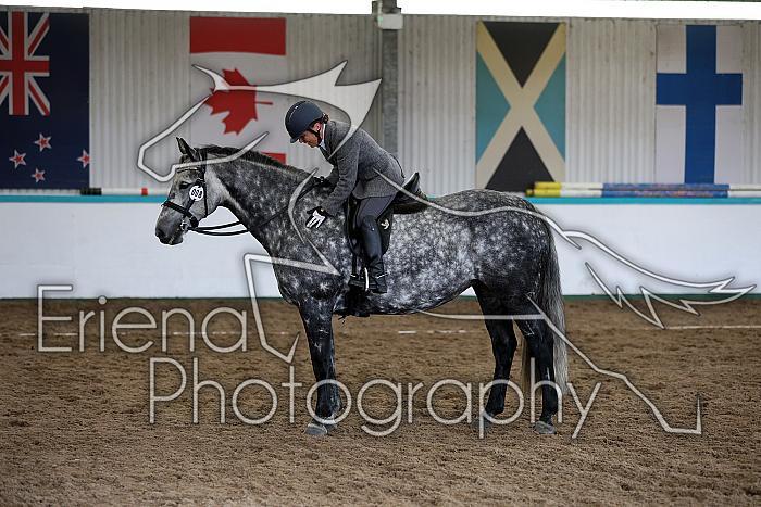 Novice6071