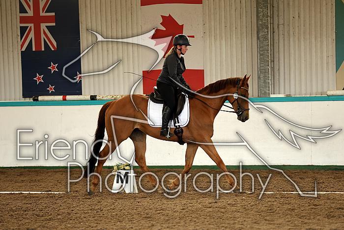 Novice1004