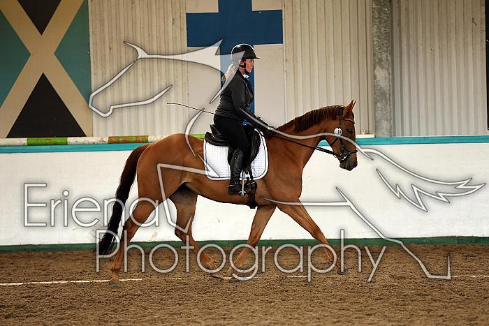 Novice1006
