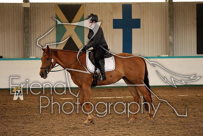 Novice1031