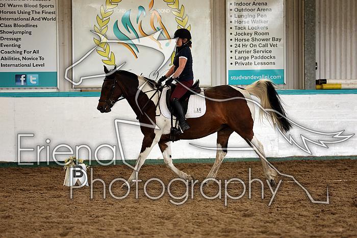 Novice1039