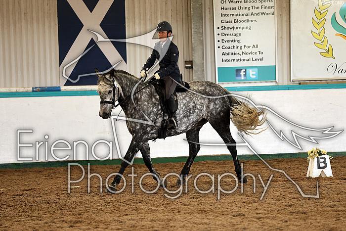 Novice1069
