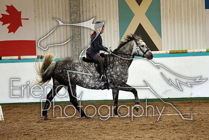 Novice1070
