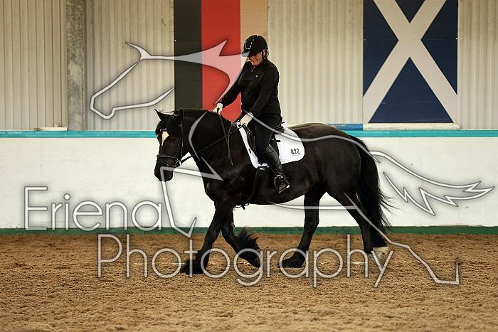 Novice1099