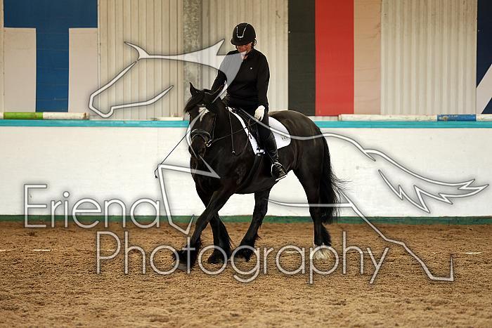 Novice1100