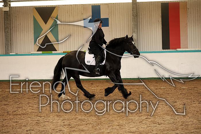 Novice1106