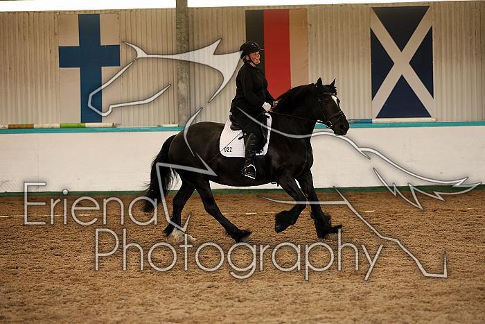 Novice1107