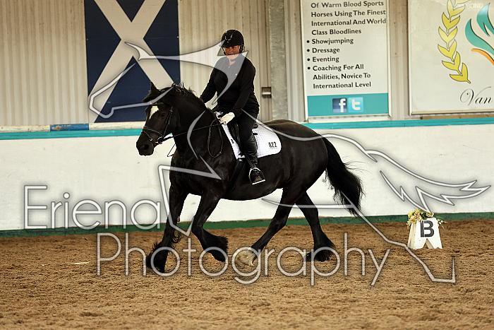 Novice1111