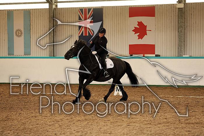 Novice1113