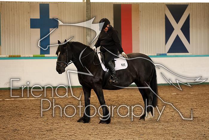 Novice1117