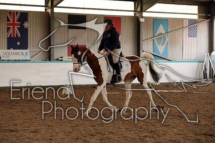Novice1119