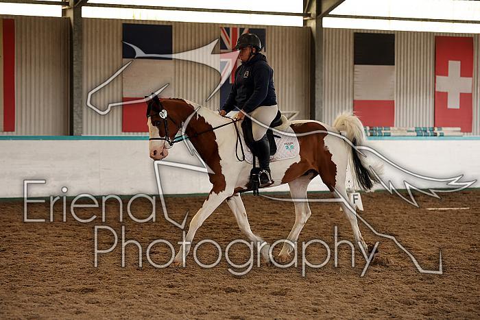 Novice1120