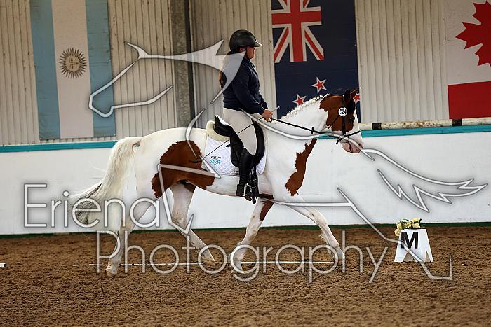 Novice1121