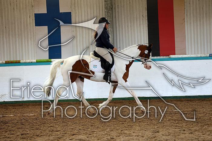Novice1123