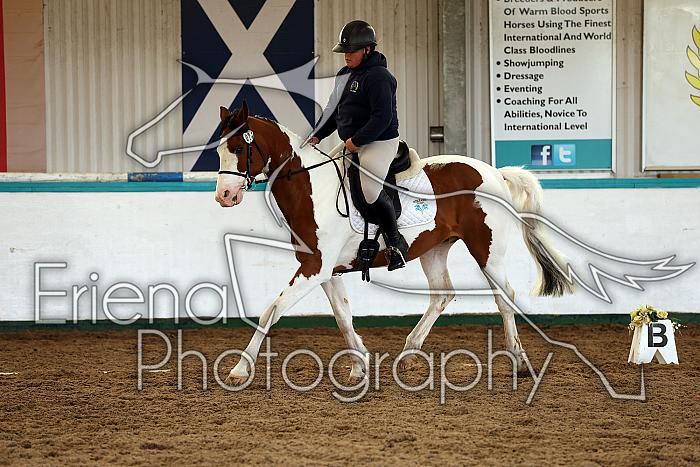 Novice1126