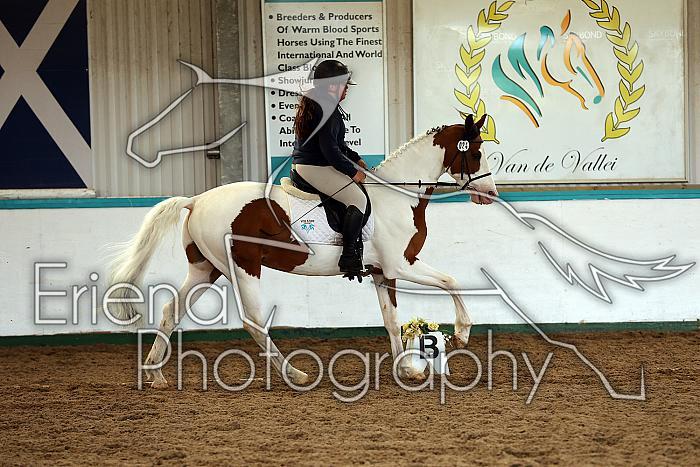 Novice1128