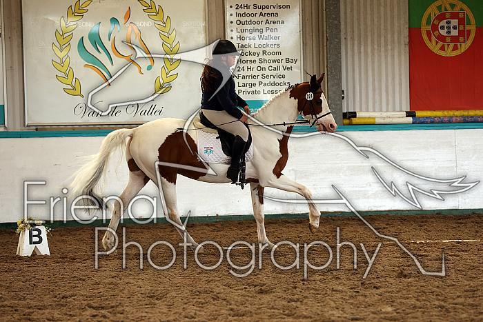 Novice1129