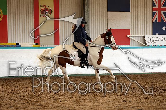 Novice1131