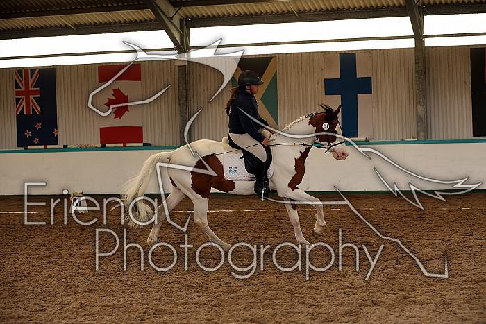 Novice1134