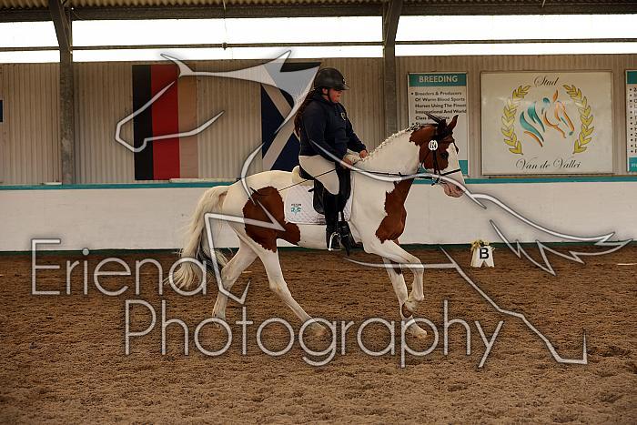 Novice1136