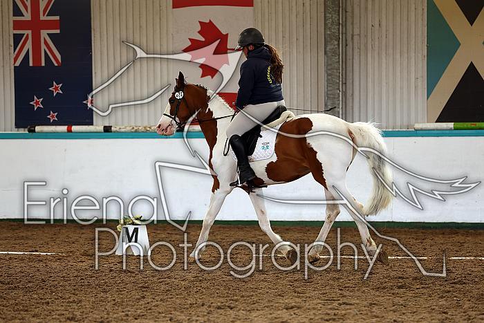 Novice1137