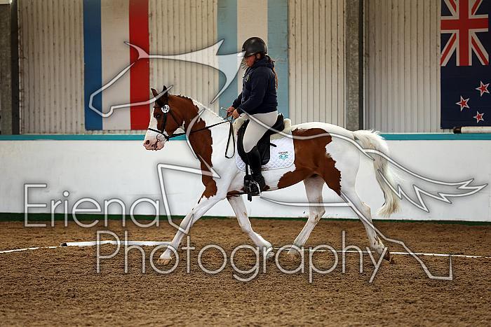 Novice1139