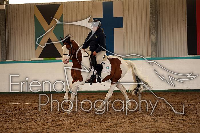 Novice1145