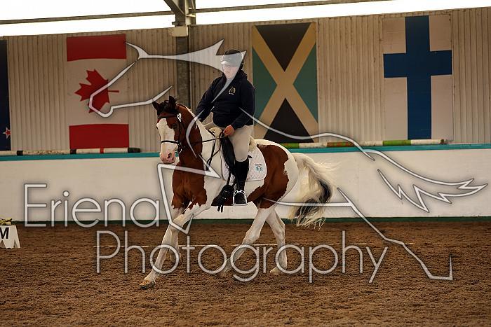 Novice1146