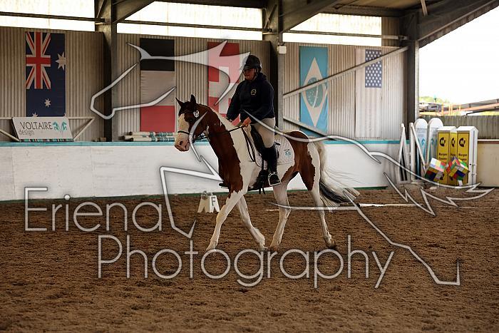 Novice1151