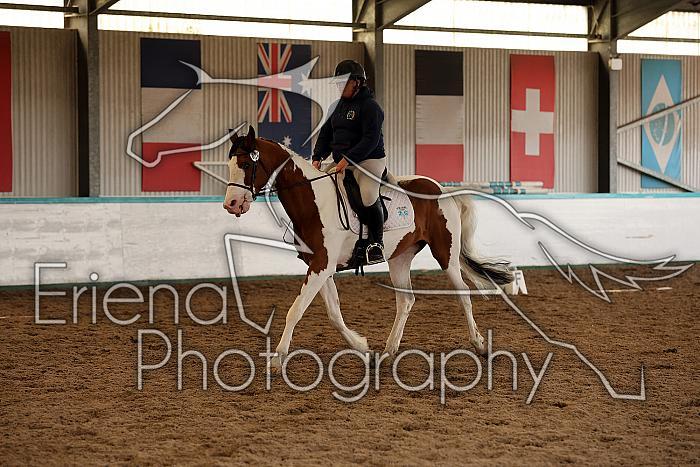 Novice1152