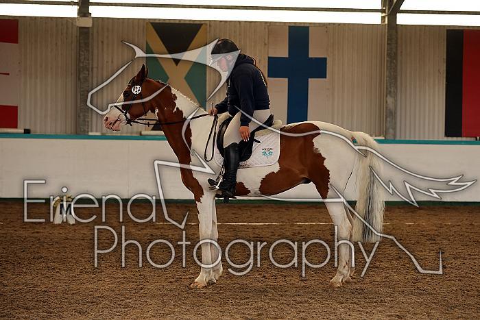 Novice1155