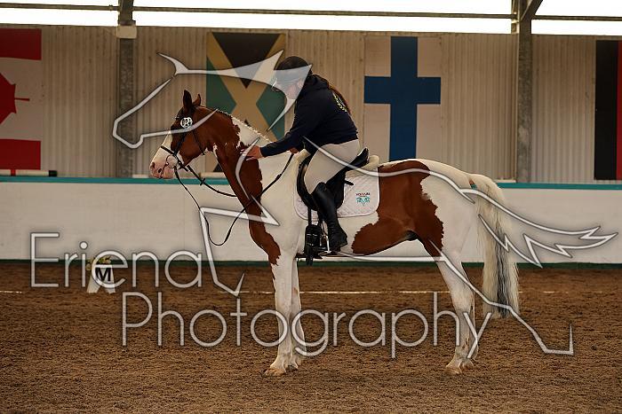Novice1156